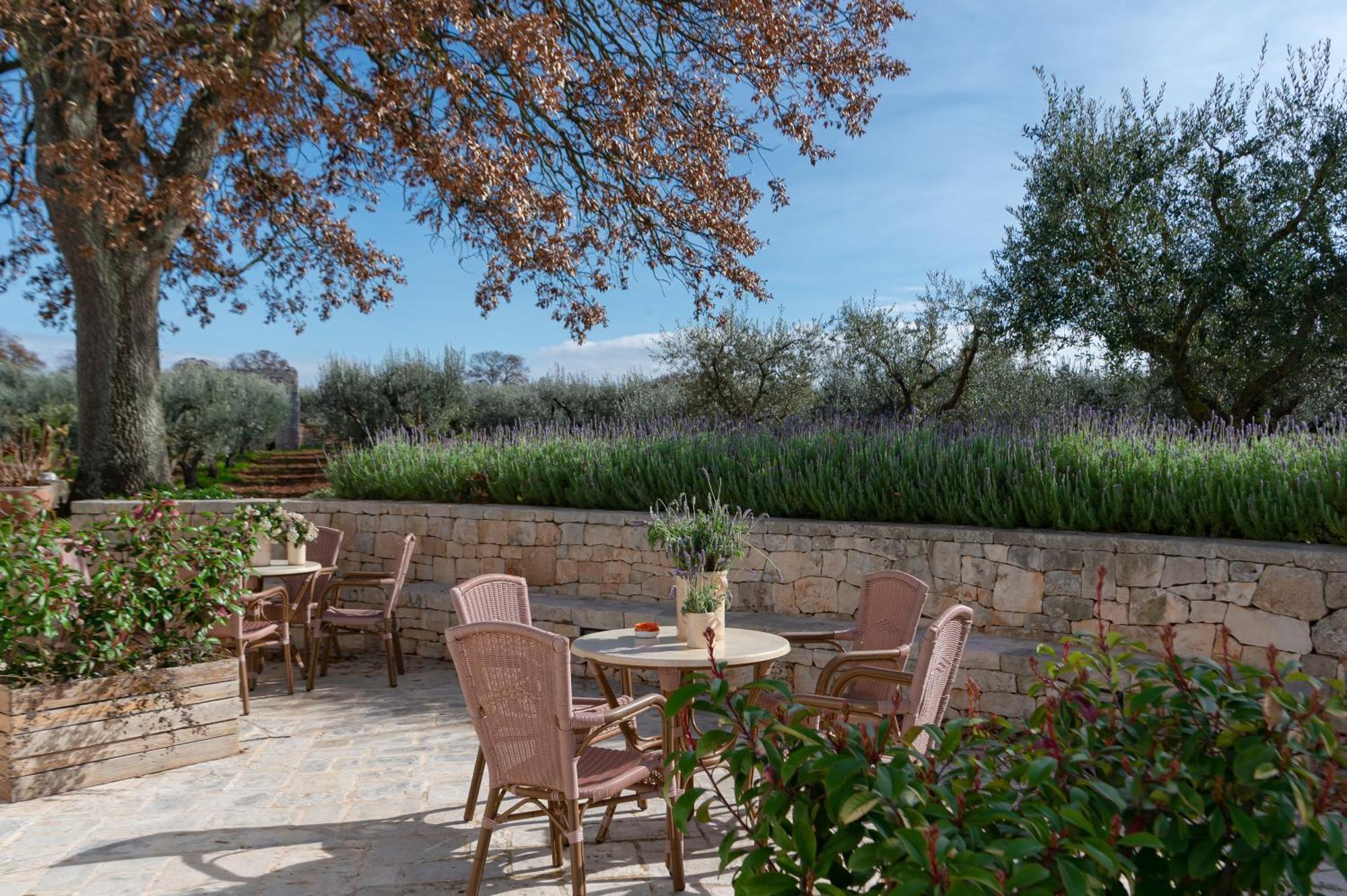 Agriturismo Masseria Aprile Locorotondo Kültér fotó