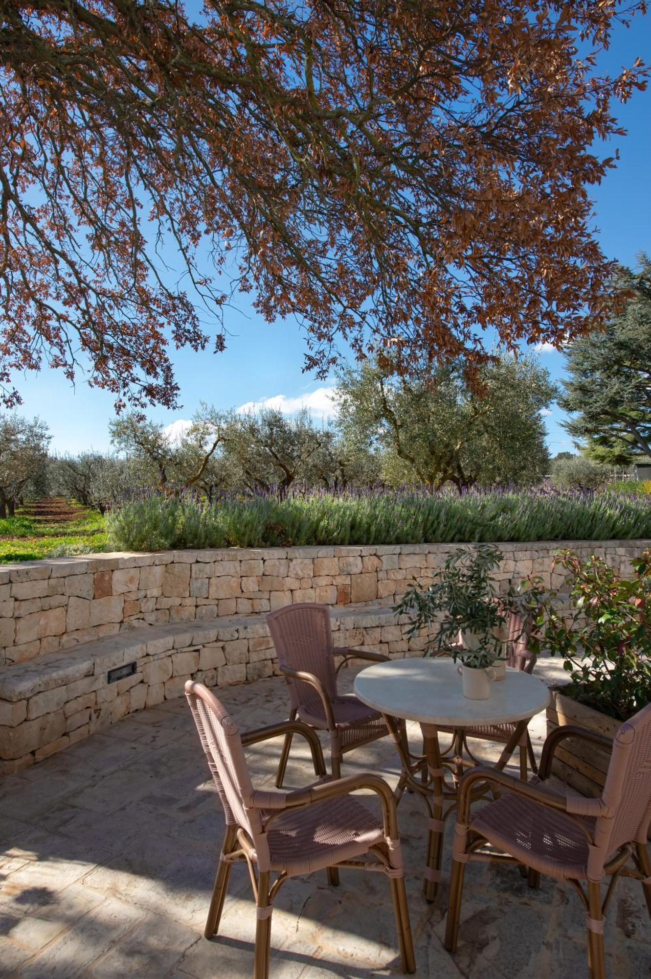 Agriturismo Masseria Aprile Locorotondo Kültér fotó